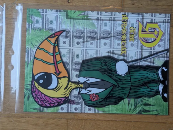 photo_affiche_TOUCAN_G_format_A4
