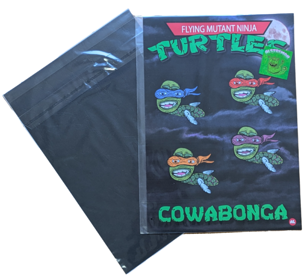 Flying Turtle NINJAS - Image 2